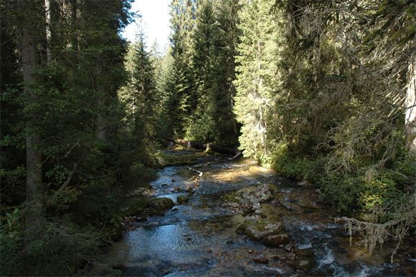 Rif. Alimonta – Dolomiti Brenta (TN)