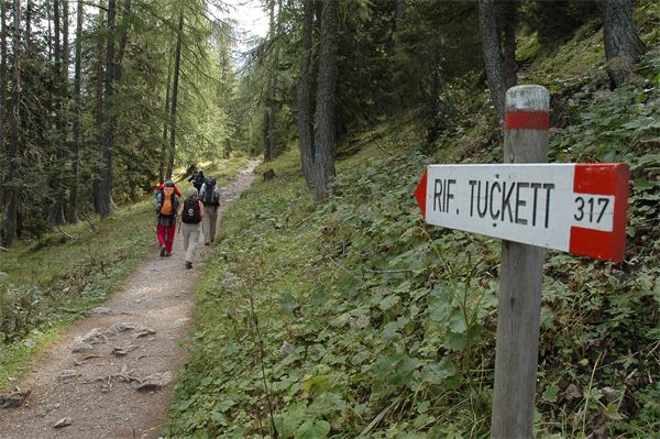 Rif. Alimonta – Dolomiti Brenta (TN)