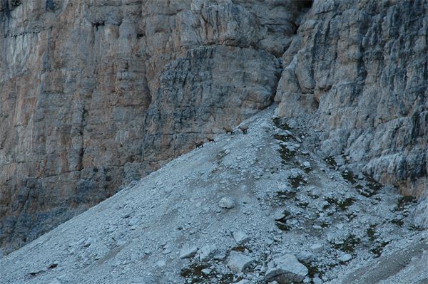 Rif. Alimonta – Dolomiti Brenta (TN)