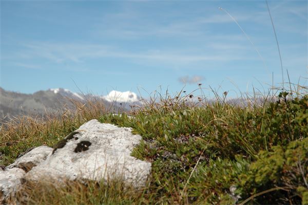 Rif. Alimonta – Dolomiti Brenta (TN)
