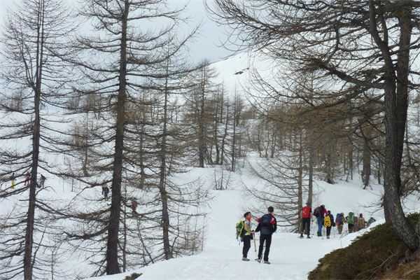 Rifugio Gattascosa - Val Bognanco (VB)