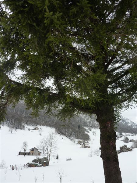 San Calimero - Rifugio Riva (LC)