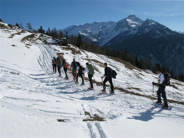 °Alpe Champillon - Valpelline (AO)