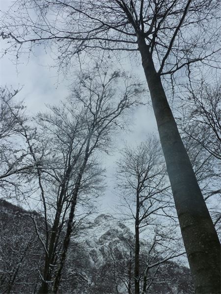 San Calimero - Rifugio Riva (LC)