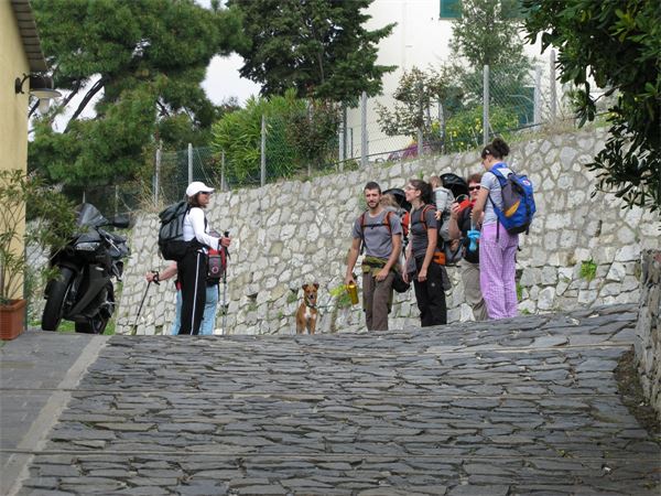 Monterosso la Mare - parco delle 5 Terre - (SP)