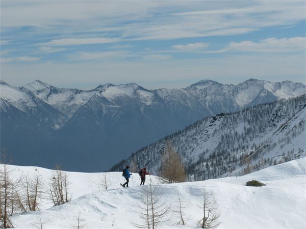 Rifugio Gattascosa - Val Bognanco (VB)