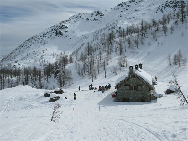 Rifugio Gattascosa - Val Bognanco (VB)