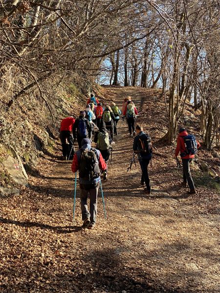 Monte Pizzoccolo (TN)