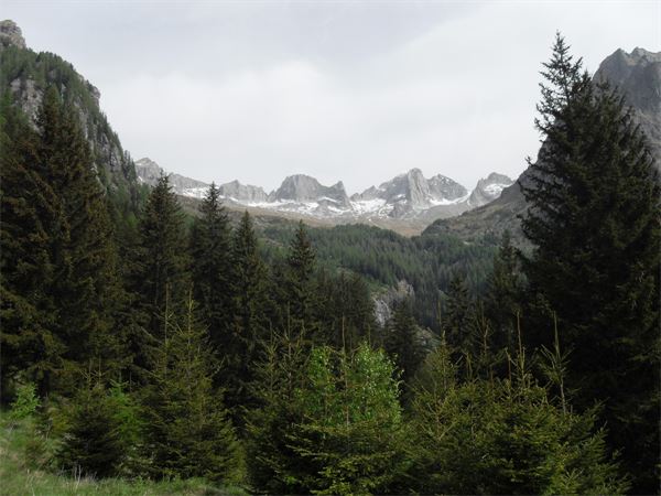 Rifugio Omio (SO)