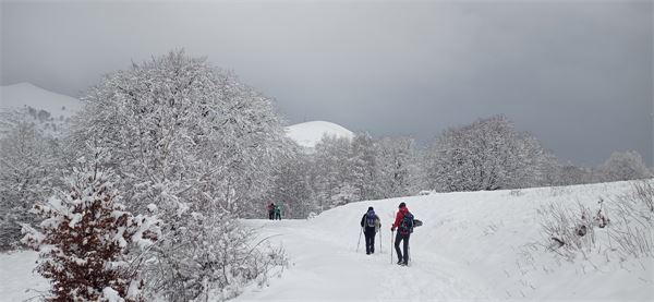 Monte San Primo (CO)