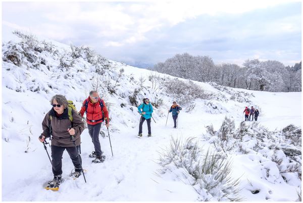 Monte San Primo (CO)