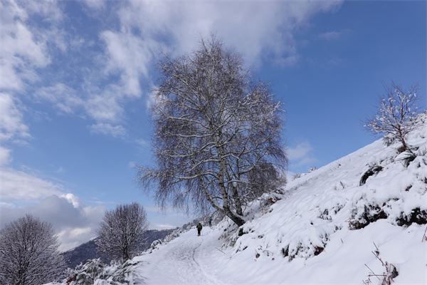 Monte San Primo (CO)