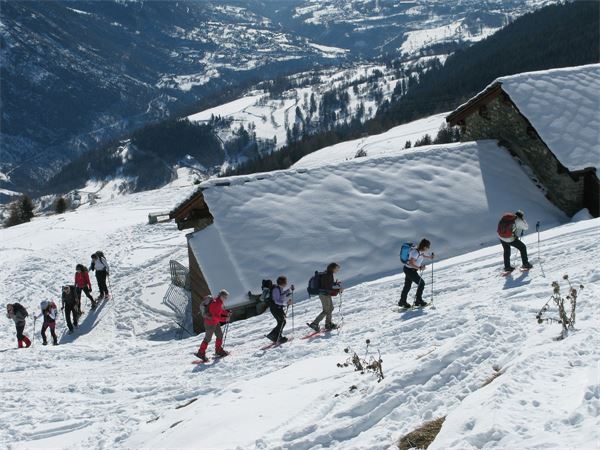 °Alpe Champillon - Valpelline (AO)