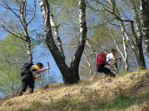 Monte Giove (VB)