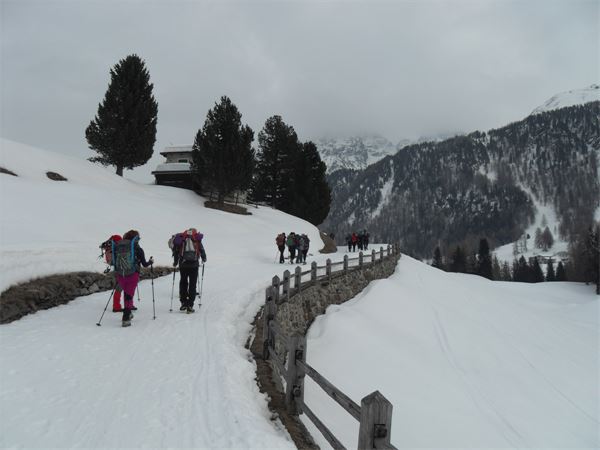 Ciaspolata Notturna Rif. Saoseo (CH)