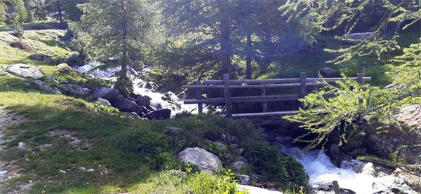 Capanna Segantini (CH)