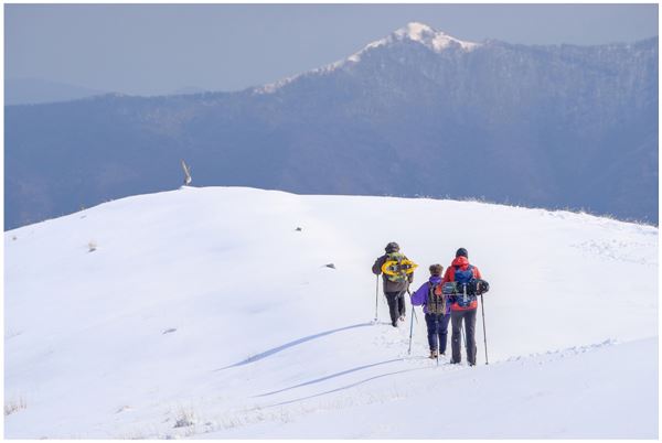 Monte San Primo (CO)