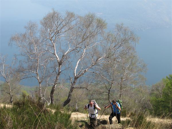Monte Giove (VB)