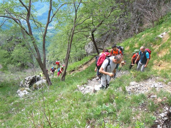 Monte Cancervo - Val Brembana (BG)