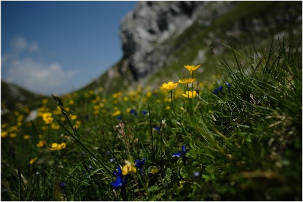 Rifugio Albani (BG) con CAI Cusano Milanino