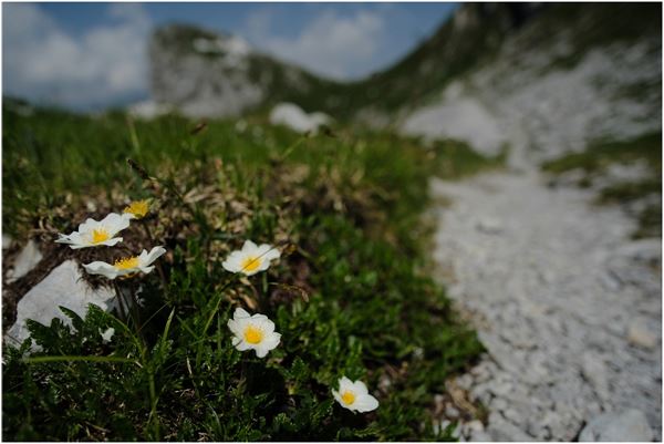 Rifugio Albani (BG) con CAI Cusano Milanino
