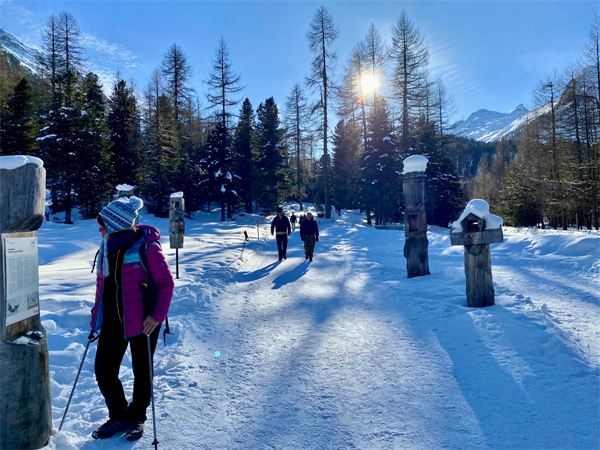 Val Roseg (CH)