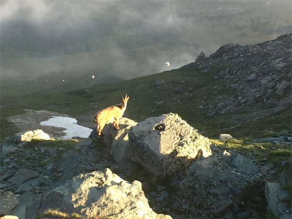 Rocciamelone (TO)