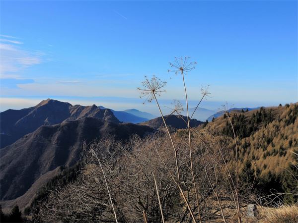 Monte Guglielmo (BS)