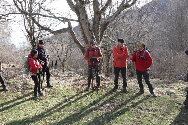 Monte Pizzoccolo (TN)