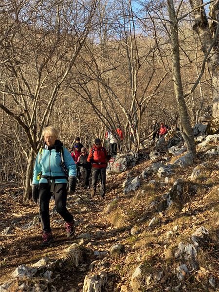 Monte Pizzoccolo (TN)