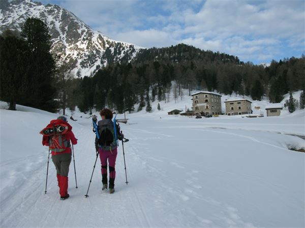 Ciaspolata Notturna Rif. Saoseo (CH)