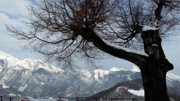 San Calimero - Rifugio Riva (LC)