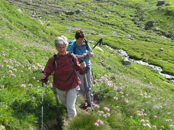 Rifugio Margaroli - Punta d'Arbola (VB)