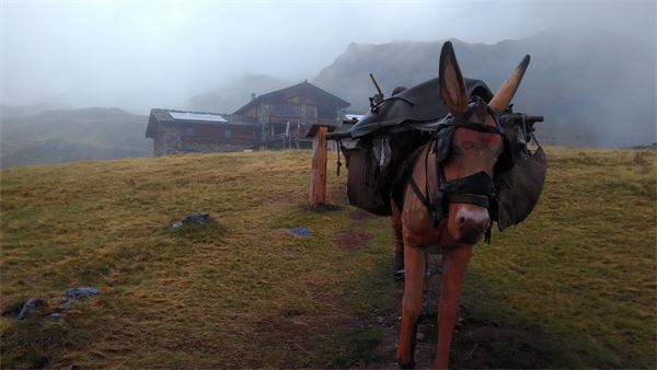 Monte Fellere (AO)/Cai Cusano M.no