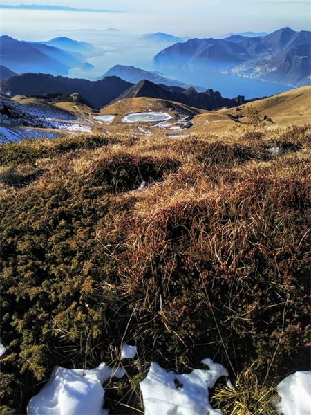 Monte Guglielmo (BS)