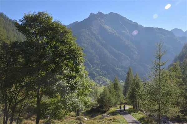 Rifugio Massero - Carcoforo (VC)