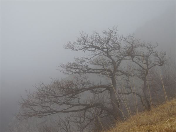Sasso Malascarpa (LC)