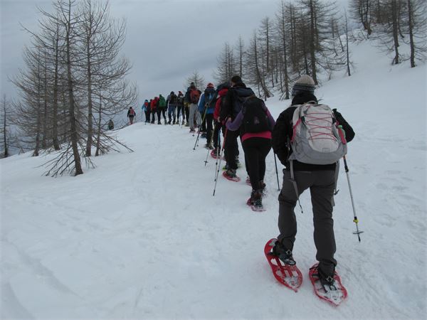 Rifugio Gattascosa - Val Bognanco (VB)