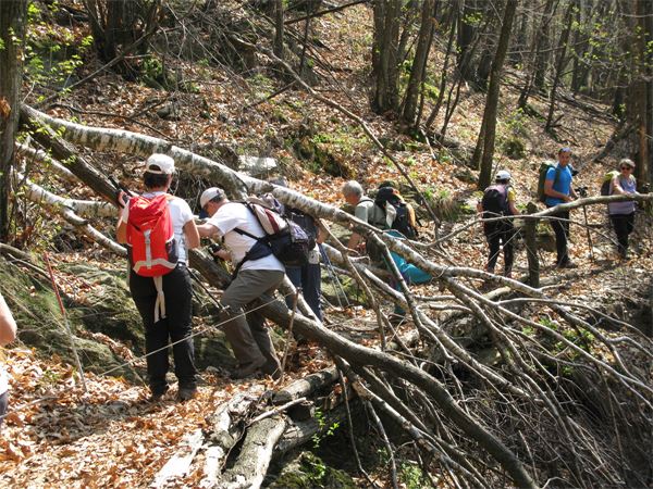Monte Giove (VB)