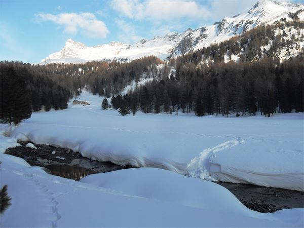 Ciaspolata Notturna Rif. Saoseo (CH)