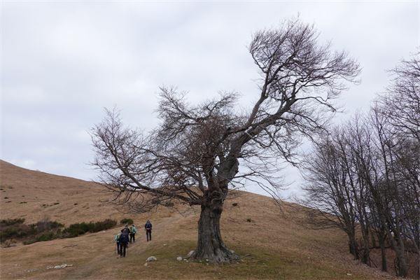 Monte San Primo (LC)