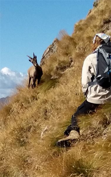 P.zo Tre Signori (LC)