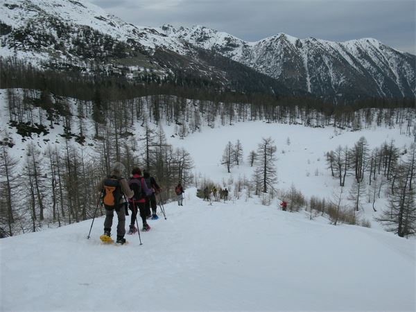 Rifugio Gattascosa - Val Bognanco (VB)