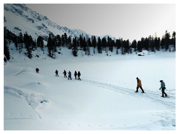 Ciaspolata Notturna Rif. Saoseo (CH)