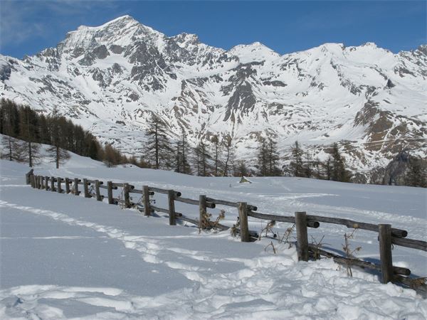 °Alpe Champillon - Valpelline (AO)