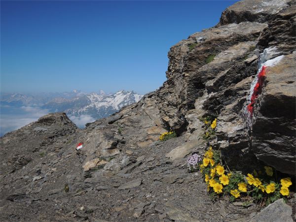 Rocciamelone (TO)