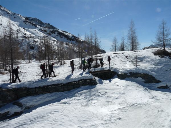 Champoluc (AO)