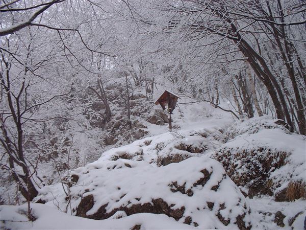 Monte Magnodeno - Rif. Alpinisti Monzesi (LC)