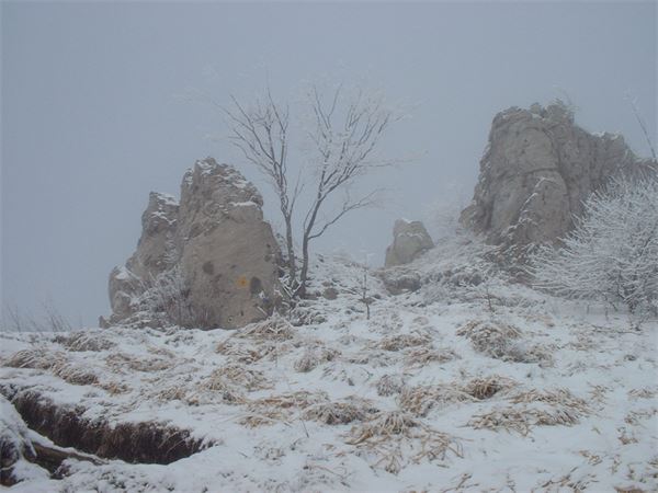 Monte Magnodeno - Rif. Alpinisti Monzesi (LC)