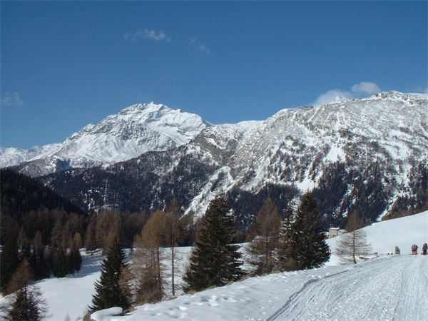 Rif. Saoseo - Val Viola (SO)